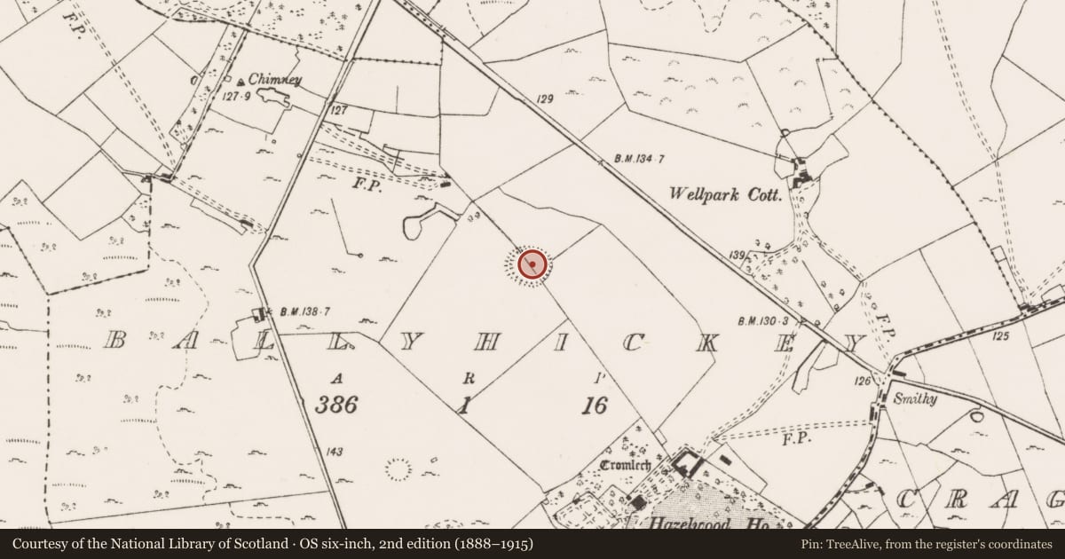 Ordnance Survey six-inch map, 2nd edition (1888–1915) covering the location of Enclosure - large enclosure, Ballyhickey, County Clare, with a pin at the register's coordinates