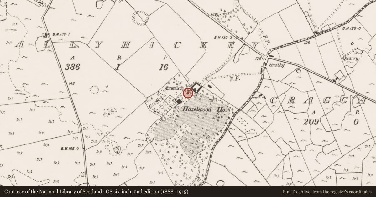 Ordnance Survey six-inch map, 2nd edition (1888–1915) covering the location of Megalithic tomb - wedge tomb, Ballyhickey, County Clare, with a pin at the register's coordinates