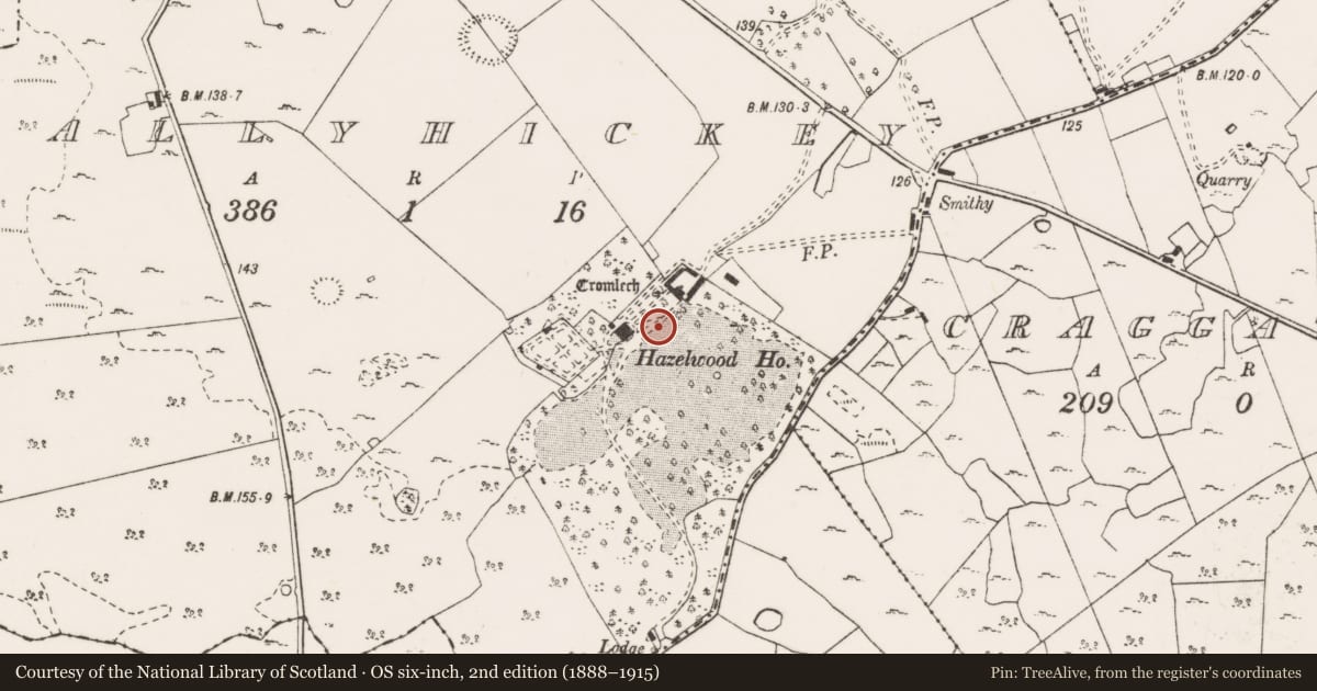 Ordnance Survey six-inch map, 2nd edition (1888–1915) covering the location of Standing stone, Ballyhickey, County Clare, with a pin at the register's coordinates
