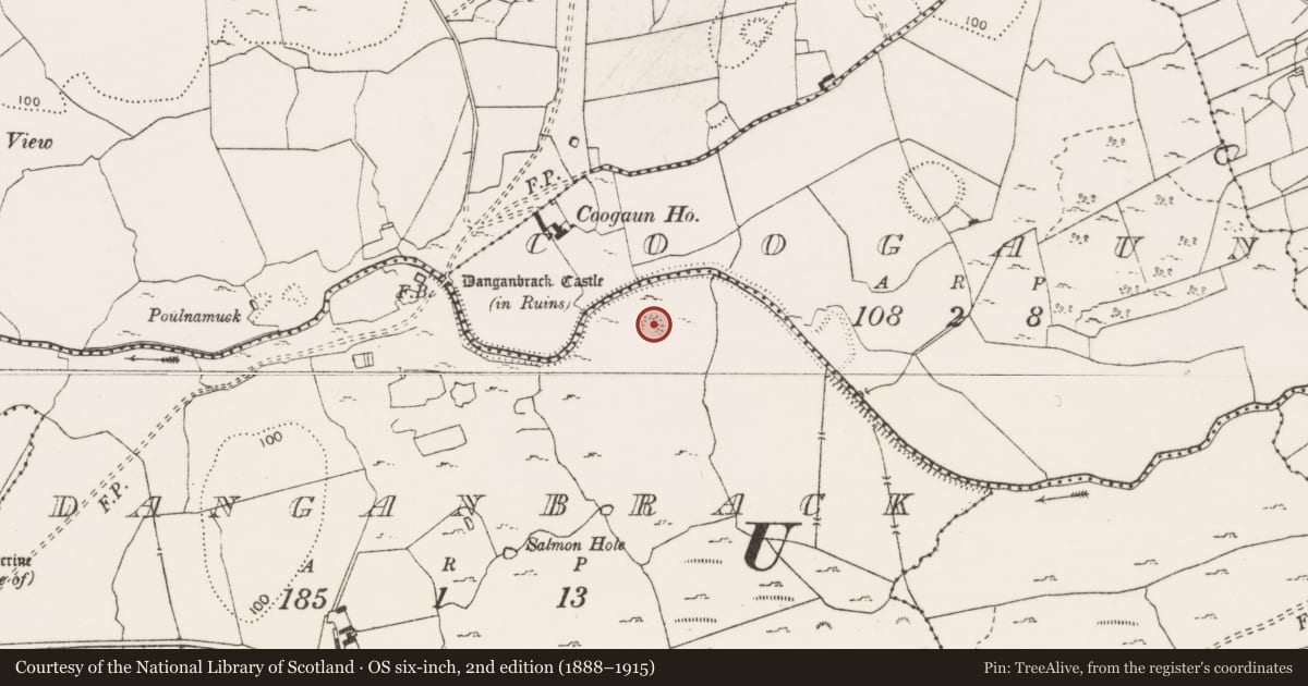 Ordnance Survey six-inch map, 2nd edition (1888–1915) covering the location of Ringfort - rath, Danganbrack, County Clare, with a pin at the register's coordinates