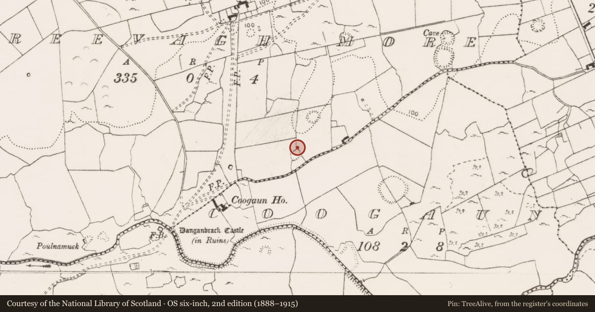 Ordnance Survey six-inch map, 2nd edition (1888–1915) covering the location of Earthwork, Creevagh More, County Clare, with a pin at the register's coordinates