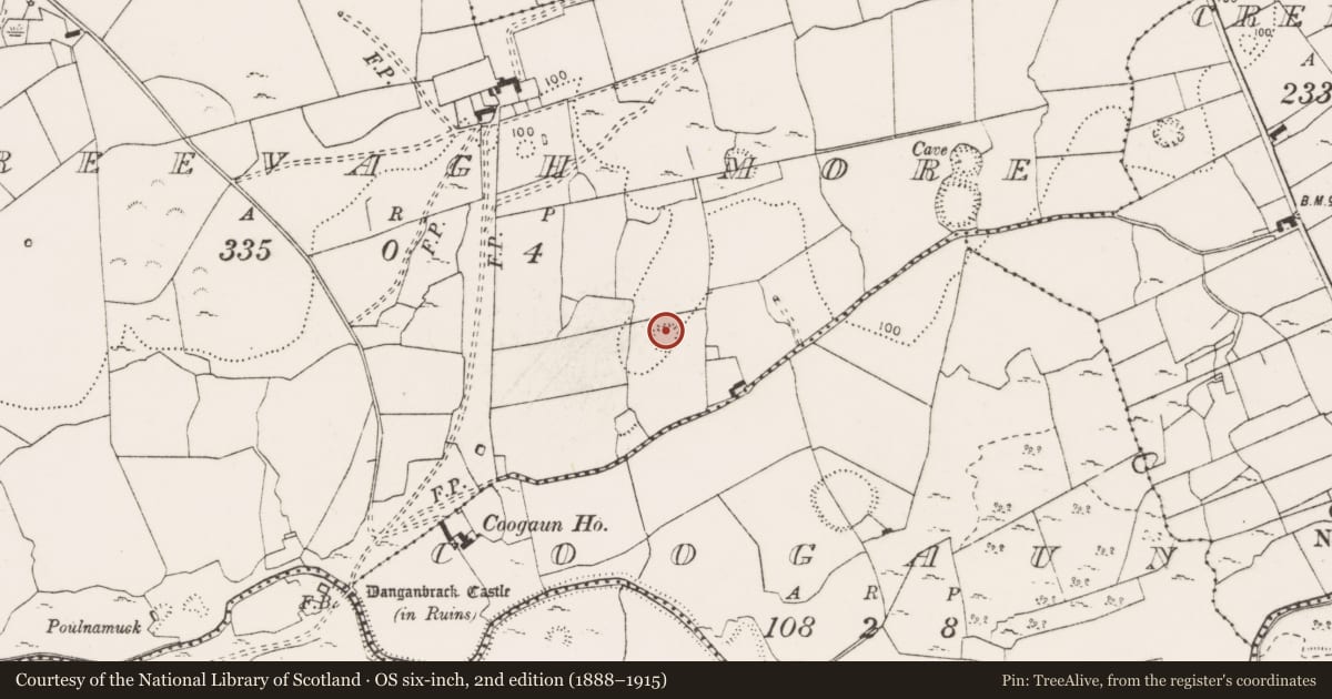 Ordnance Survey six-inch map, 2nd edition (1888–1915) covering the location of Ringfort - rath, Creevagh More, County Clare, with a pin at the register's coordinates