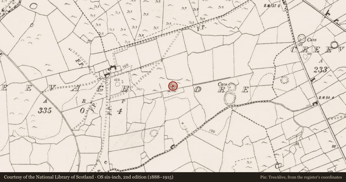 Ordnance Survey six-inch map, 2nd edition (1888–1915) covering the location of Ringfort - rath, Creevagh More, County Clare, with a pin at the register's coordinates