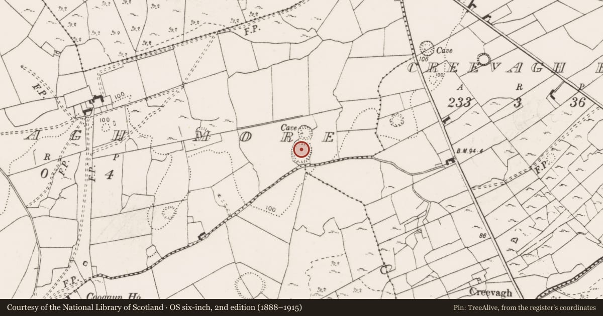 Ordnance Survey six-inch map, 2nd edition (1888–1915) covering the location of Ringfort - rath, Creevagh More, County Clare, with a pin at the register's coordinates