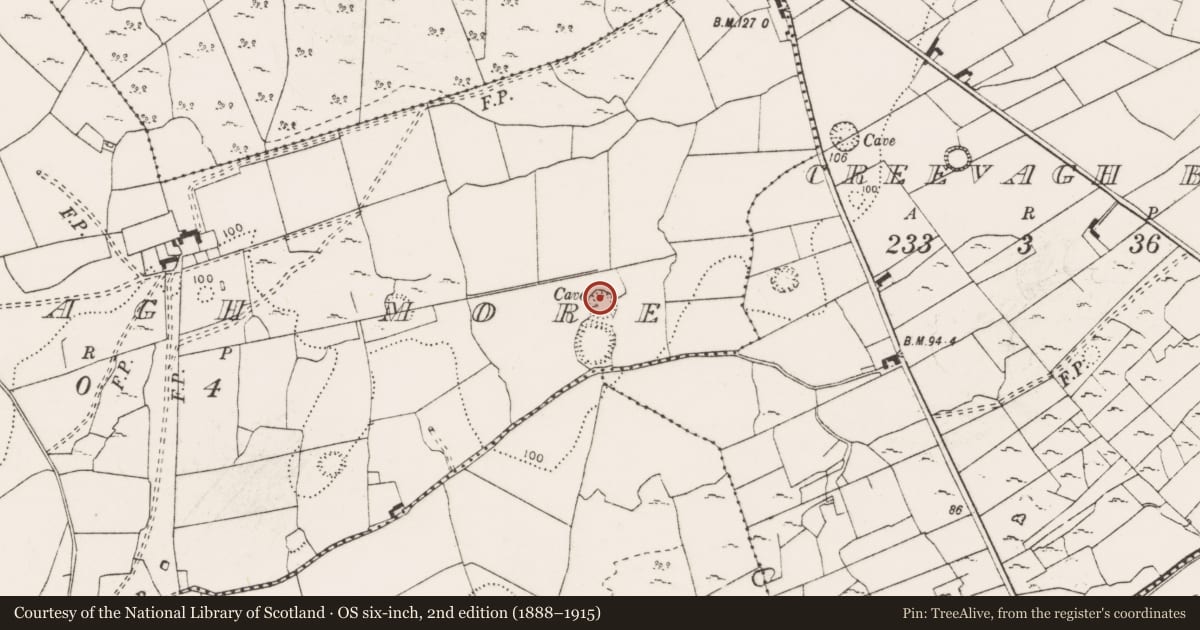 Ordnance Survey six-inch map, 2nd edition (1888–1915) covering the location of Ringfort - rath, Creevagh More, County Clare, with a pin at the register's coordinates