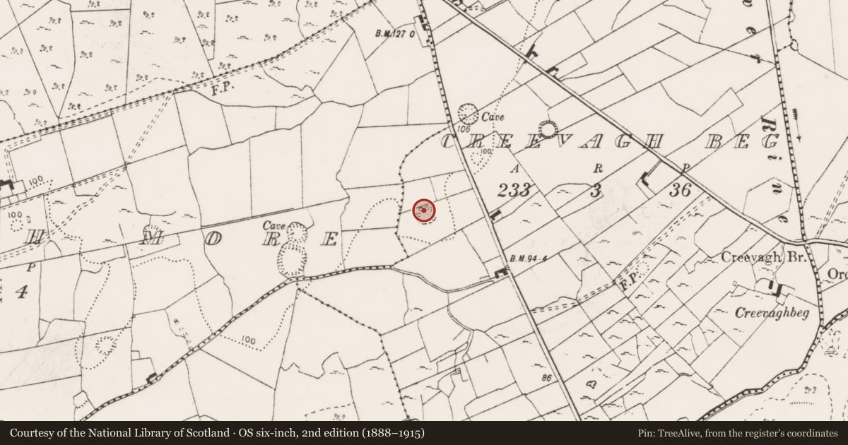 Ordnance Survey six-inch map, 2nd edition (1888–1915) covering the location of Ringfort - cashel, Creevagh Beg, County Clare, with a pin at the register's coordinates