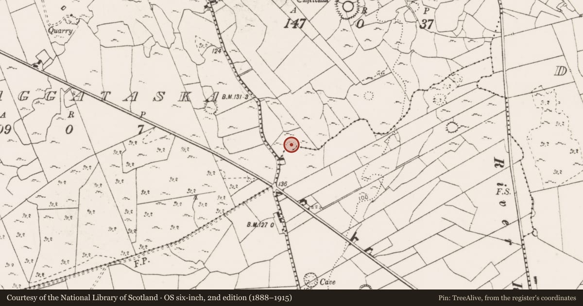 Ordnance Survey six-inch map, 2nd edition (1888–1915) covering the location of Ringfort - cashel, Cahercalla, County Clare, with a pin at the register's coordinates