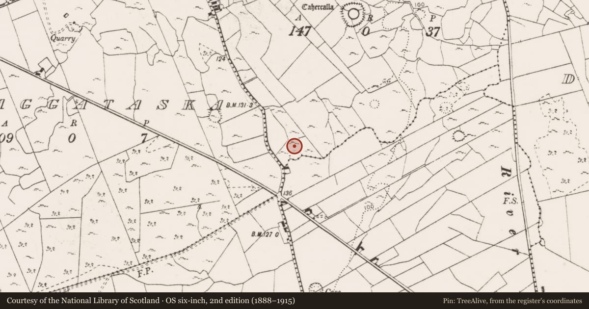 Ordnance Survey six-inch map, 2nd edition (1888–1915) covering the location of Field boundary, Cahircalla More, County Clare, with a pin at the register's coordinates