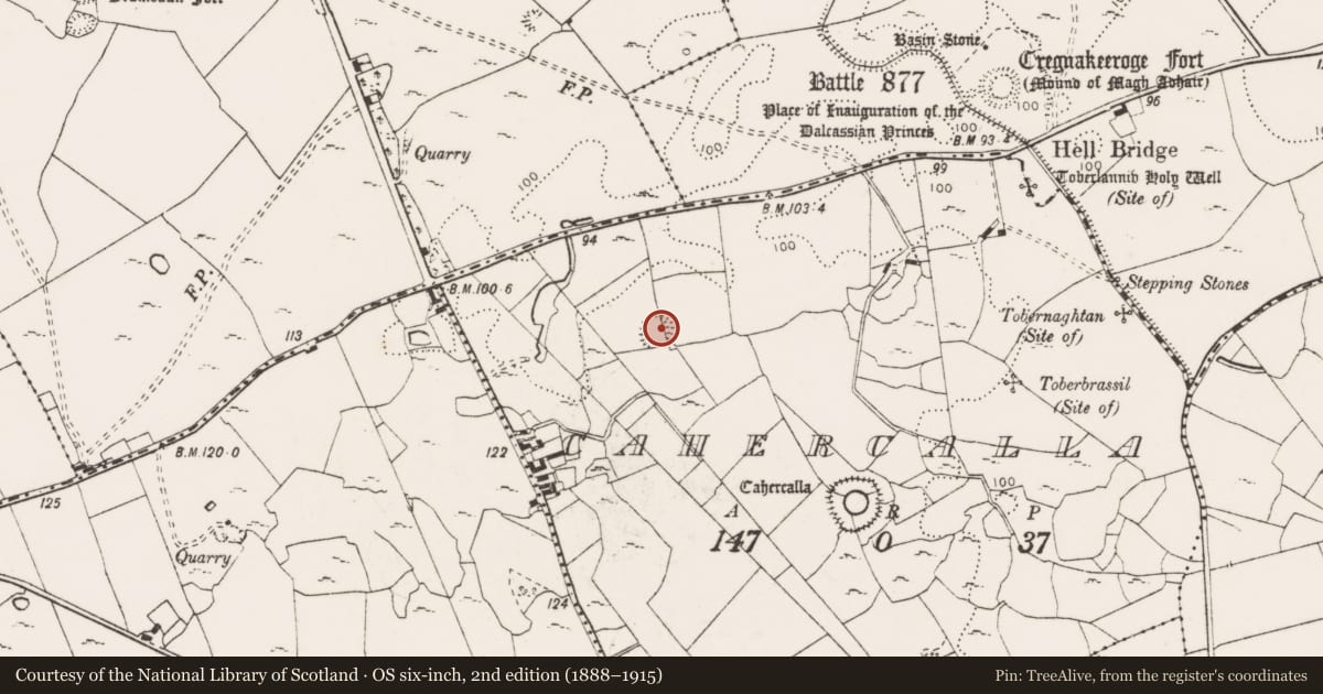 Ordnance Survey six-inch map, 2nd edition (1888–1915) covering the location of Ringfort - cashel, Cahercalla, County Clare, with a pin at the register's coordinates