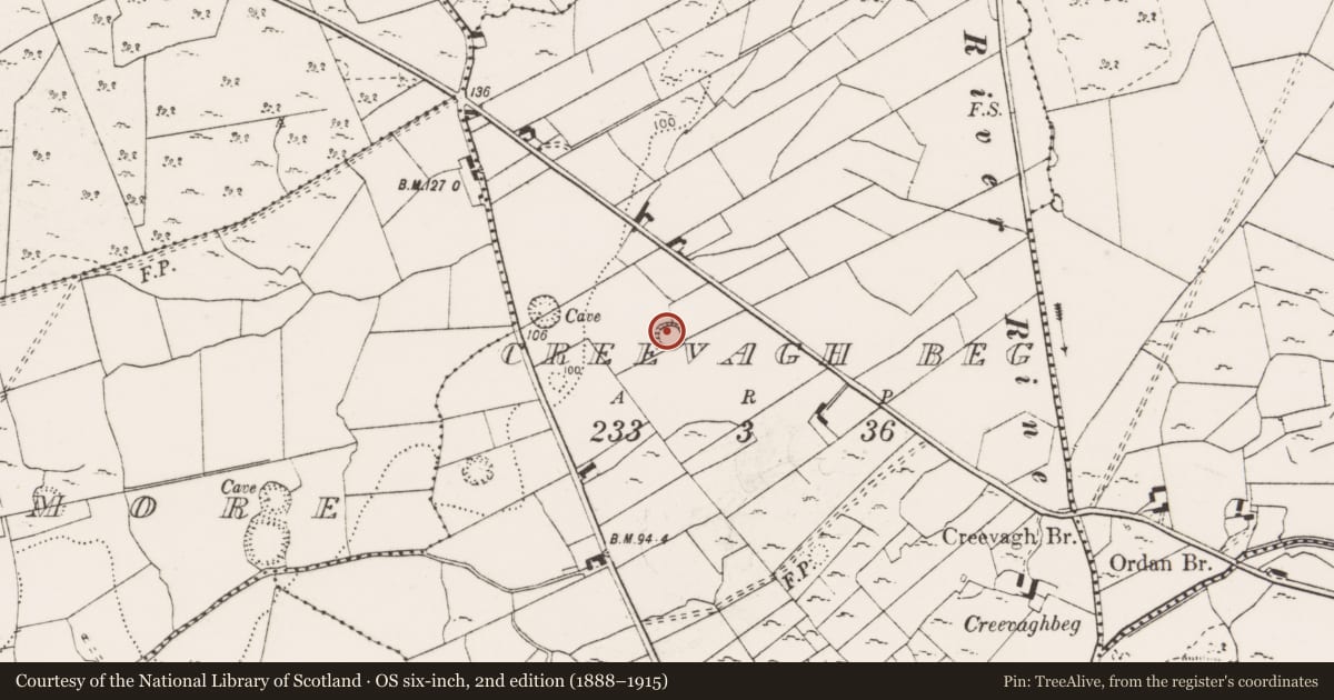 Ordnance Survey six-inch map, 2nd edition (1888–1915) covering the location of Ringfort - cashel, Creevagh Beg, County Clare, with a pin at the register's coordinates