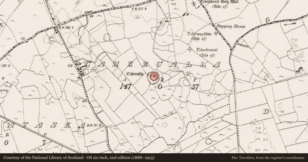 Ordnance Survey six-inch map, 2nd edition (1888–1915) covering the location of Ringfort - cashel, Cahercalla, County Clare, with a pin at the register's coordinates