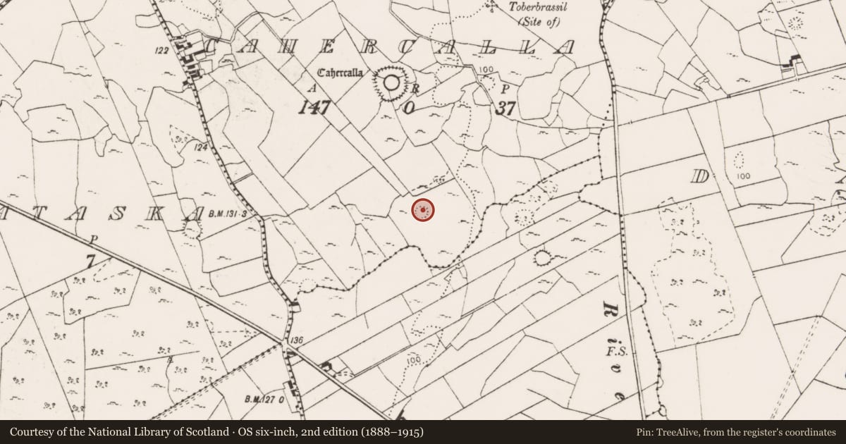 Ordnance Survey six-inch map, 2nd edition (1888–1915) covering the location of Ringfort - cashel, Cahercalla, County Clare, with a pin at the register's coordinates