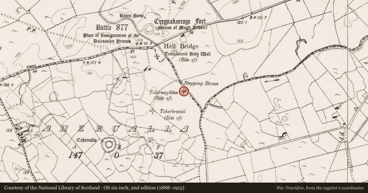Ordnance Survey six-inch map, 2nd edition (1888–1915) covering the location of Ritual site - holy well, Cahercalla, County Clare, with a pin at the register's coordinates
