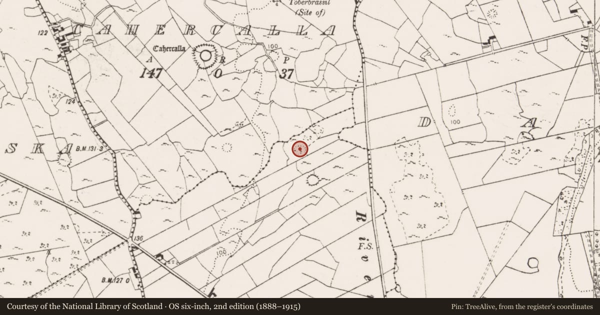 Ordnance Survey six-inch map, 2nd edition (1888–1915) covering the location of Ringfort - cashel, Creevagh Beg, County Clare, with a pin at the register's coordinates
