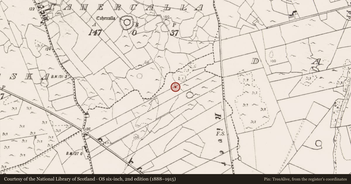Ordnance Survey six-inch map, 2nd edition (1888–1915) covering the location of Field system, Creevagh Beg, County Clare, with a pin at the register's coordinates