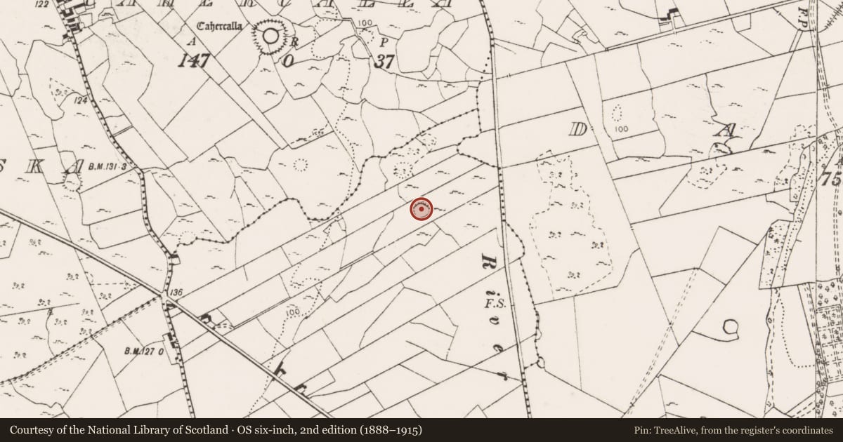 Ordnance Survey six-inch map, 2nd edition (1888–1915) covering the location of Ringfort - cashel, Creevagh Beg, County Clare, with a pin at the register's coordinates