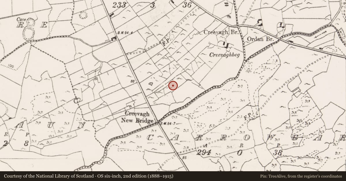 Ordnance Survey six-inch map, 2nd edition (1888–1915) covering the location of Earthwork, Creevagh Beg, County Clare, with a pin at the register's coordinates