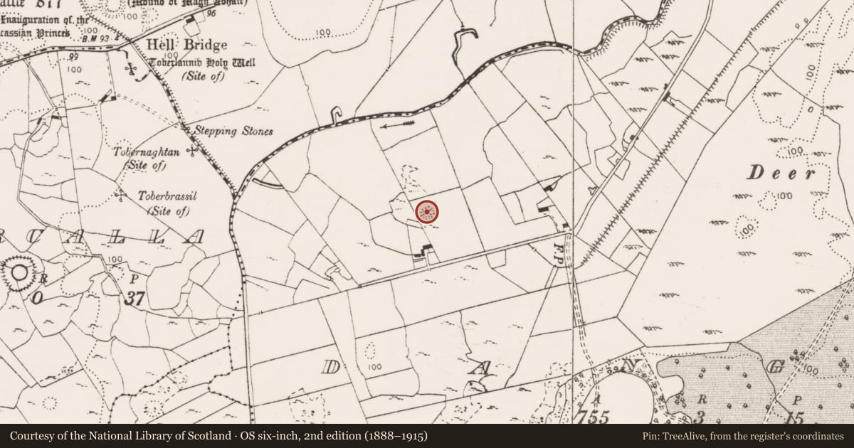 Ordnance Survey six-inch map, 2nd edition (1888–1915) covering the location of Ringfort - cashel, Dangan, County Clare, with a pin at the register's coordinates