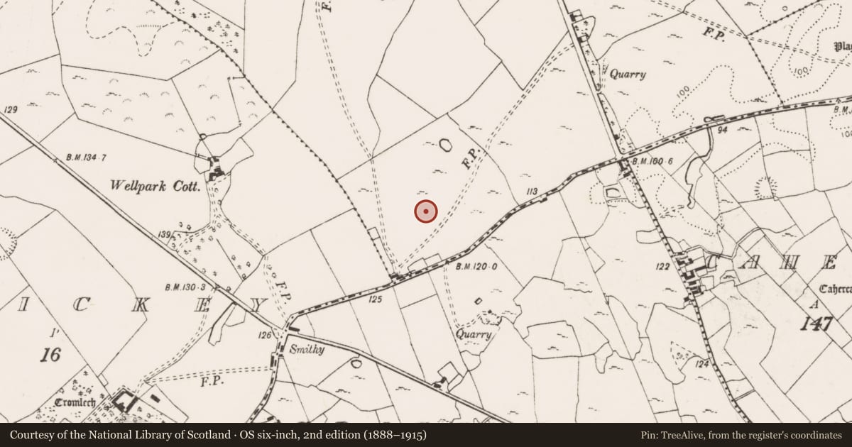 Ordnance Survey six-inch map, 2nd edition (1888–1915) covering the location of Standing stone, Corbally, County Clare, with a pin at the register's coordinates