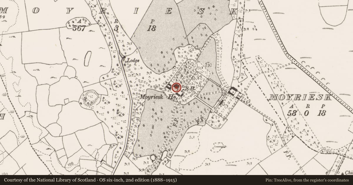 Ordnance Survey six-inch map, 2nd edition (1888–1915) covering the location of Castle - unclassified, Moyriesk, County Clare, with a pin at the register's coordinates