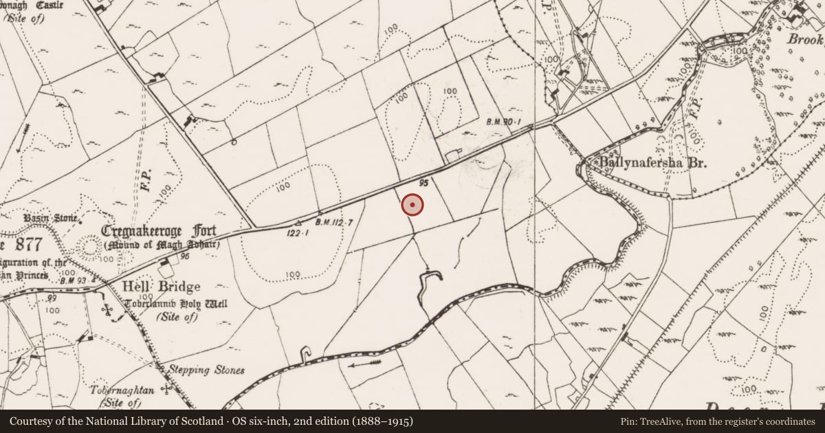 Ordnance Survey six-inch map, 2nd edition (1888–1915) covering the location of Fulacht fia, Toonagh, County Clare, with a pin at the register's coordinates
