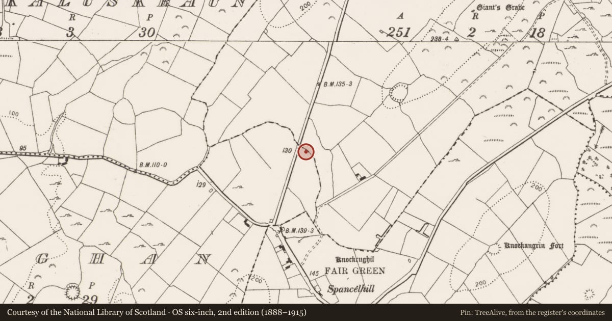 Ordnance Survey six-inch map, 2nd edition (1888–1915) covering the location of Fulacht fia, Tullyvoghan, County Clare, with a pin at the register's coordinates