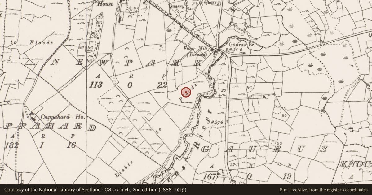 Ordnance Survey six-inch map, 2nd edition (1888–1915) covering the location of Fulacht fia, Newpark, County Clare, with a pin at the register's coordinates