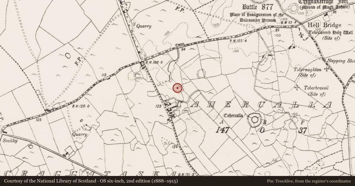 Ordnance Survey six-inch map, 2nd edition (1888–1915) covering the location of Standing stone, Cahercalla, County Clare, with a pin at the register's coordinates