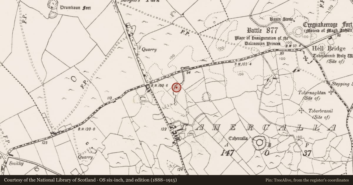 Ordnance Survey six-inch map, 2nd edition (1888–1915) covering the location of Fulacht fia, Cahercalla, County Clare, with a pin at the register's coordinates