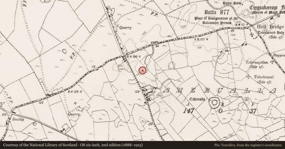 Ordnance Survey six-inch map, 2nd edition (1888–1915) covering the location of Standing stone, Cahercalla, County Clare, with a pin at the register's coordinates