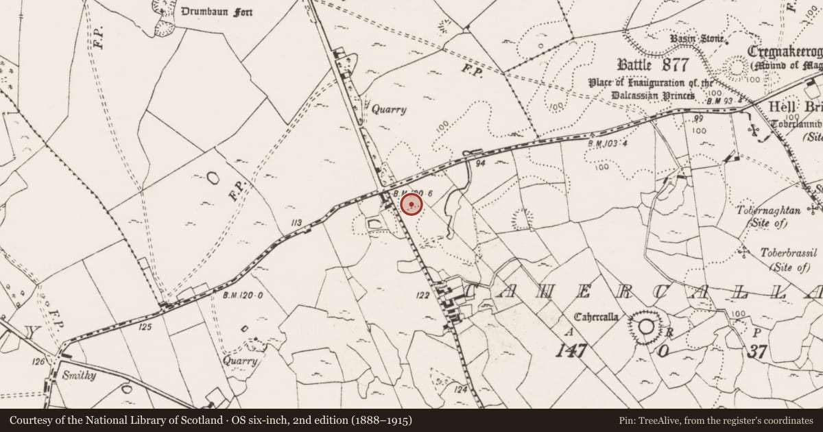 Ordnance Survey six-inch map, 2nd edition (1888–1915) covering the location of Standing stone, Cahercalla, County Clare, with a pin at the register's coordinates