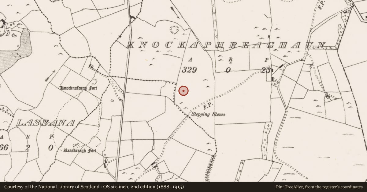 Ordnance Survey six-inch map, 2nd edition (1888–1915) covering the location of Field system, Knockaphreaghaun, County Clare, with a pin at the register's coordinates