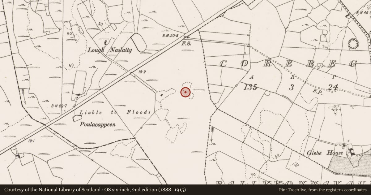 Ordnance Survey six-inch map, 2nd edition (1888–1915) covering the location of Field boundary, Kilbreckan, County Clare, with a pin at the register's coordinates