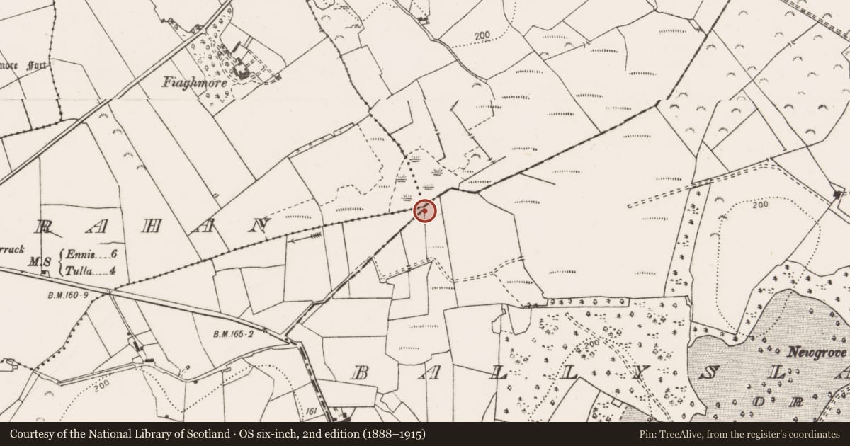 Ordnance Survey six-inch map, 2nd edition (1888–1915) covering the location of Habitation site, County Clare, with a pin at the register's coordinates