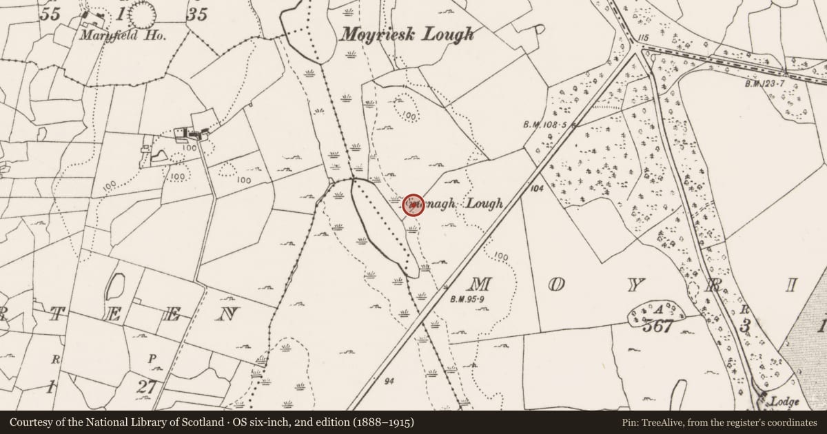 Ordnance Survey six-inch map, 2nd edition (1888–1915) covering the location of Fulacht fia, Moyriesk, County Clare, with a pin at the register's coordinates