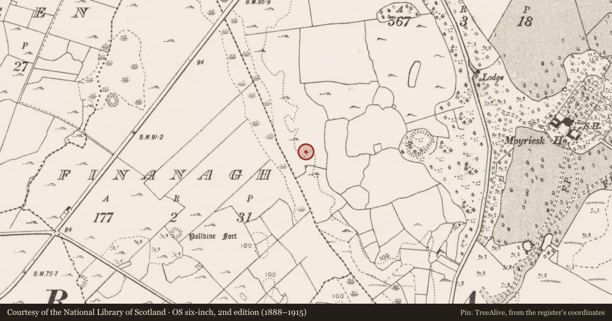 Ordnance Survey six-inch map, 2nd edition (1888–1915) covering the location of Burnt mound, Moyriesk, County Clare, with a pin at the register's coordinates