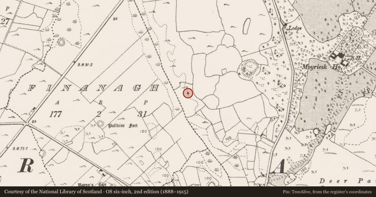 Ordnance Survey six-inch map, 2nd edition (1888–1915) covering the location of Burnt mound, Moyriesk, County Clare, with a pin at the register's coordinates
