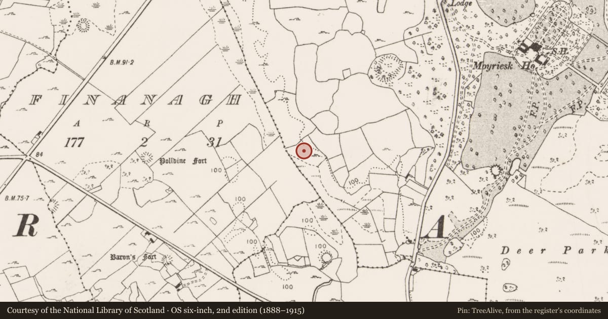 Ordnance Survey six-inch map, 2nd edition (1888–1915) covering the location of Burnt mound, Moyriesk, County Clare, with a pin at the register's coordinates