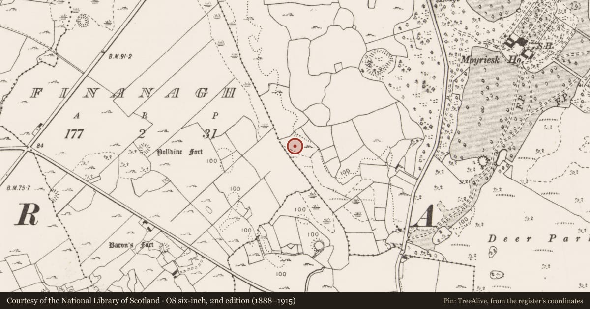 Ordnance Survey six-inch map, 2nd edition (1888–1915) covering the location of Burnt mound, Moyriesk, County Clare, with a pin at the register's coordinates