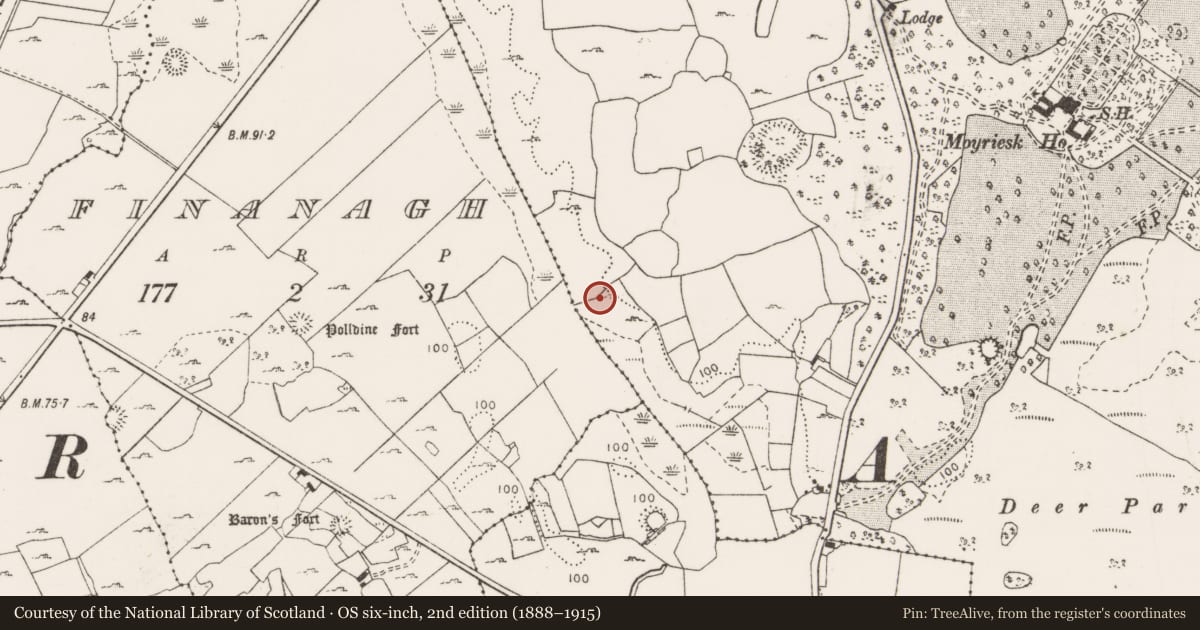Ordnance Survey six-inch map, 2nd edition (1888–1915) covering the location of Burnt mound, Moyriesk, County Clare, with a pin at the register's coordinates