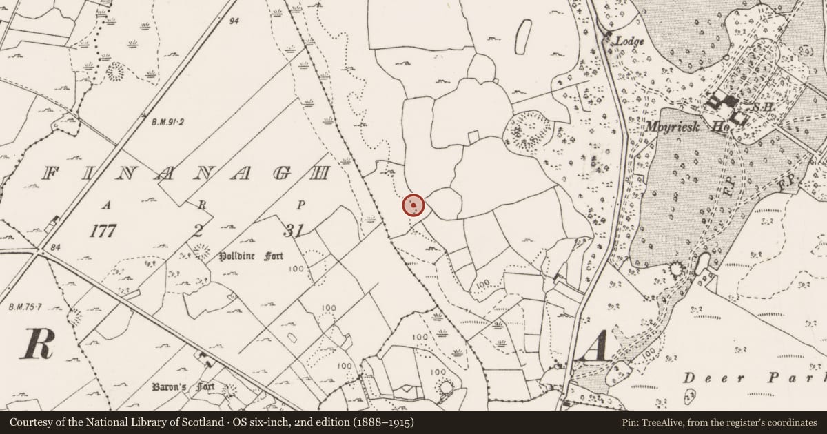 Ordnance Survey six-inch map, 2nd edition (1888–1915) covering the location of Burnt mound, Moyriesk, County Clare, with a pin at the register's coordinates