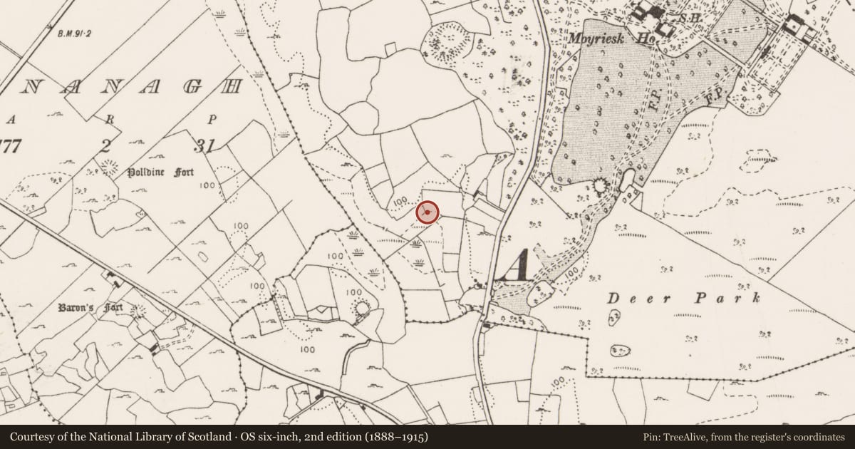 Ordnance Survey six-inch map, 2nd edition (1888–1915) covering the location of Burnt mound, Moyriesk, County Clare, with a pin at the register's coordinates