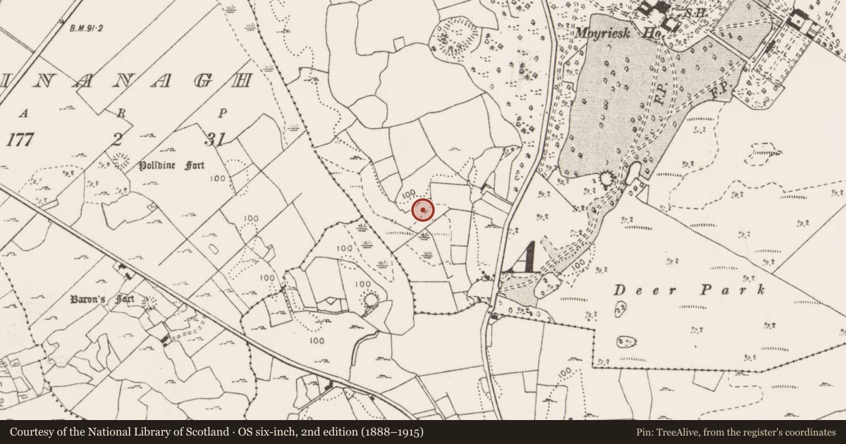 Ordnance Survey six-inch map, 2nd edition (1888–1915) covering the location of Burnt mound, Moyriesk, County Clare, with a pin at the register's coordinates