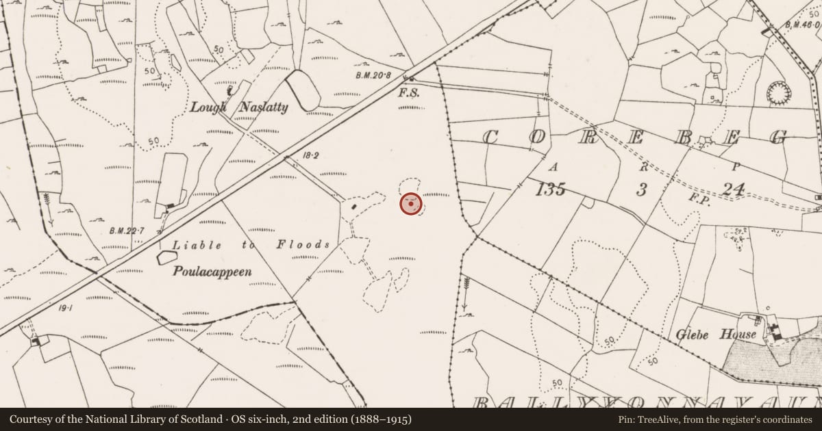 Ordnance Survey six-inch map, 2nd edition (1888–1915) covering the location of Fulacht fia, Kilbreckan, County Clare, with a pin at the register's coordinates