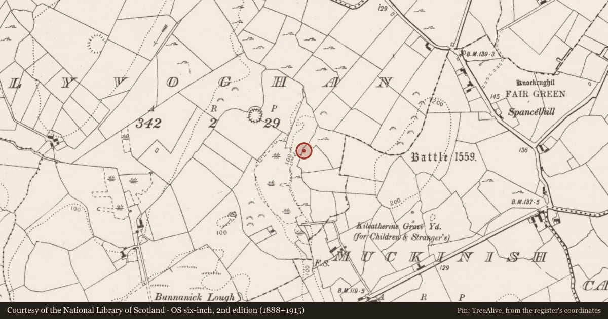 Ordnance Survey six-inch map, 2nd edition (1888–1915) covering the location of Fulacht fia, Tullyvoghan, County Clare, with a pin at the register's coordinates