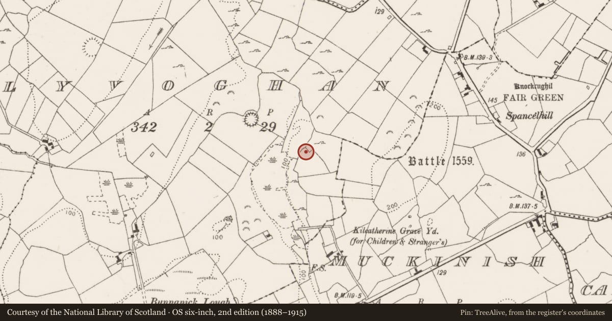 Ordnance Survey six-inch map, 2nd edition (1888–1915) covering the location of Fulacht fia, Tullyvoghan, County Clare, with a pin at the register's coordinates