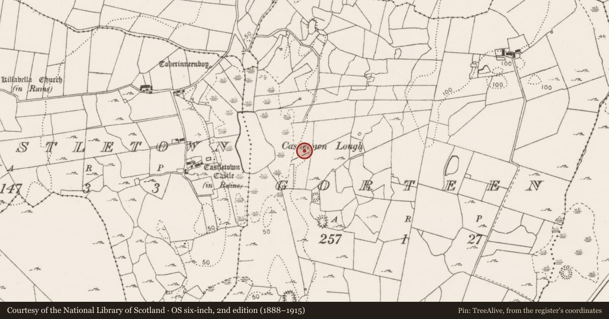 Ordnance Survey six-inch map, 2nd edition (1888–1915) covering the location of Fulacht fia, Gorteen, County Clare, with a pin at the register's coordinates