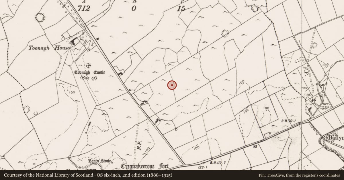 Ordnance Survey six-inch map, 2nd edition (1888–1915) covering the location of Enclosure, Toonagh, County Clare, with a pin at the register's coordinates