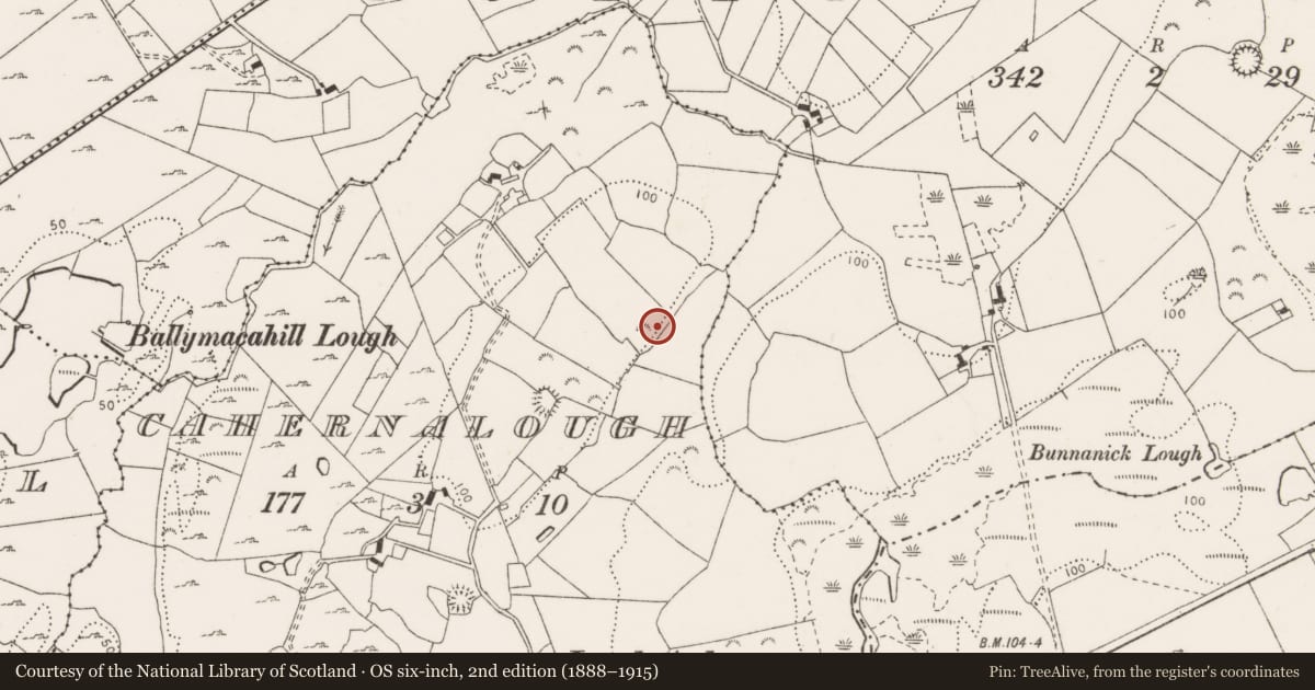 Ordnance Survey six-inch map, 2nd edition (1888–1915) covering the location of Excavation - miscellaneous, Cahernalough, County Clare, with a pin at the register's coordinates
