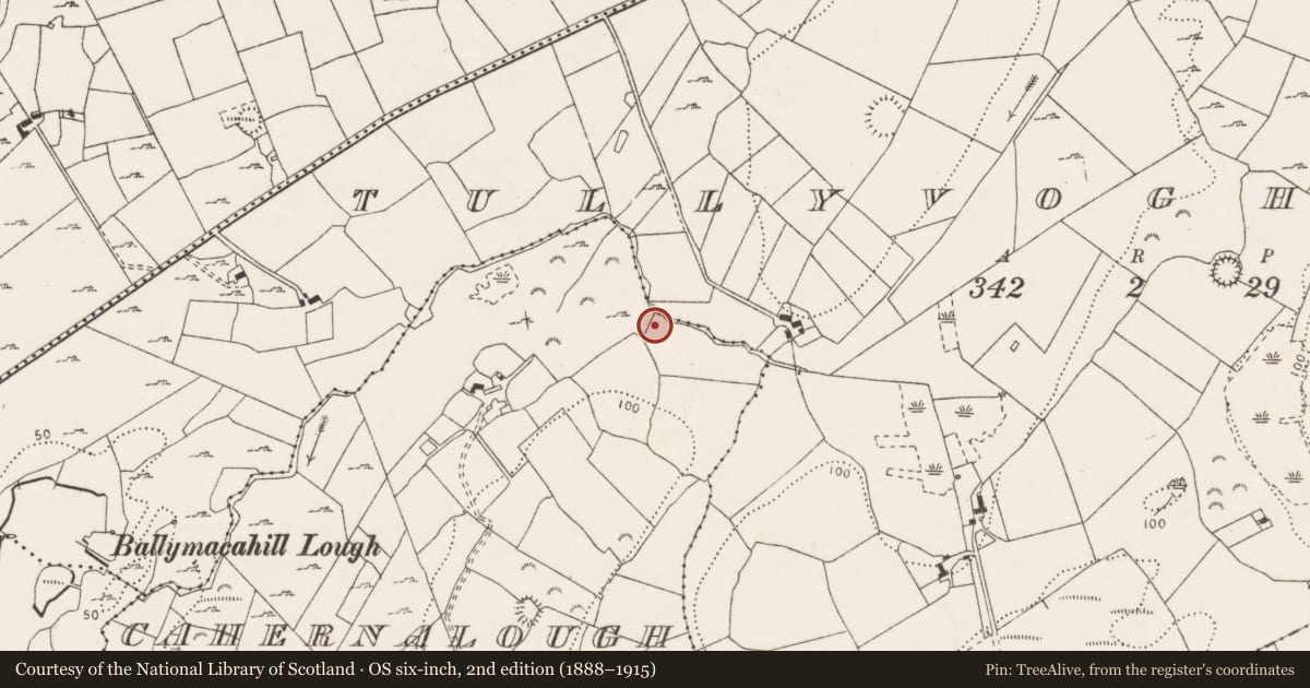 Ordnance Survey six-inch map, 2nd edition (1888–1915) covering the location of Fulacht fia, Cahernalough, County Clare, with a pin at the register's coordinates
